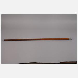 Spazierstock Silber