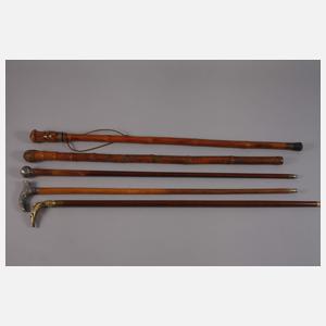 Konvolut Spazierstöcke