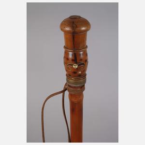 Konvolut Spazierstöcke