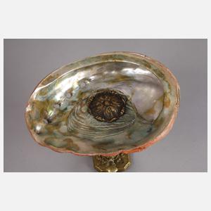 Muschelschale