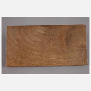 Briefbeschwerer Eidechse