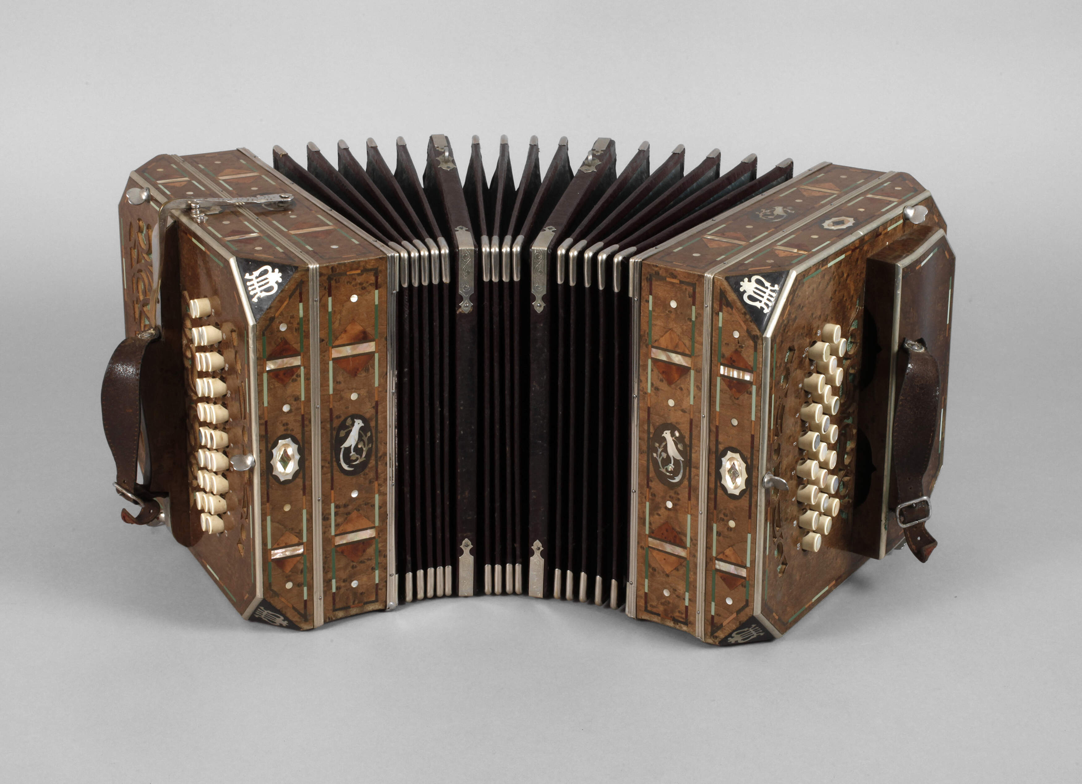 Konzertina im Koffer