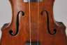 Violine