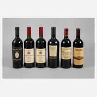 Sechs Flaschen Rotwein111