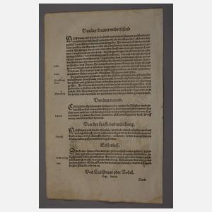 20 Pflanzenholzschnitte 1557