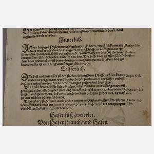 20 Pflanzenholzschnitte 1557