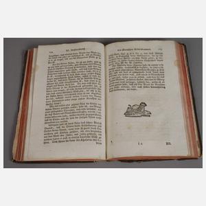 Zwei Bände Forst-Magazin 1765/68