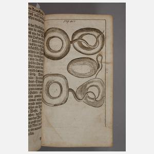 Der schwangern Weibs-Personen Hülff-Leistung 1687