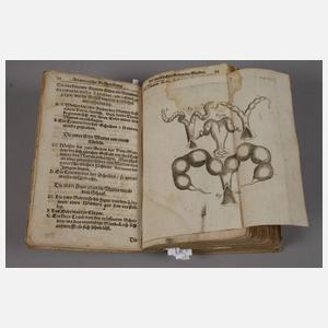 Der schwangern Weibs-Personen Hülff-Leistung 1687