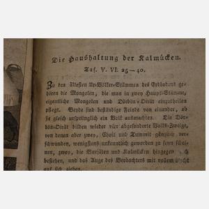 Die Haushaltung der Menschen