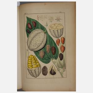 Pharmaceutische Waarenkunde