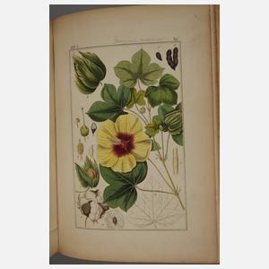 Pharmaceutische Waarenkunde