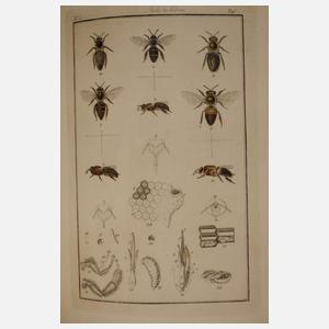 Pharmaceutische Waarenkunde