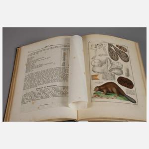 Pharmaceutische Waarenkunde