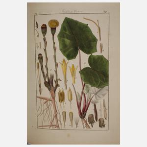 Pharmaceutische Waarenkunde