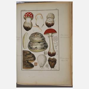 Pharmaceutische Waarenkunde