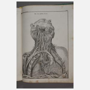 Abbildungen zu Oken's allgemeiner Naturgeschichte