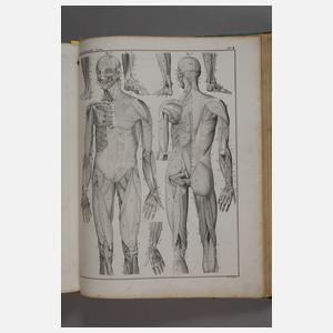 Abbildungen zu Oken's allgemeiner Naturgeschichte