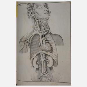 Abbildungen zu Oken's allgemeiner Naturgeschichte