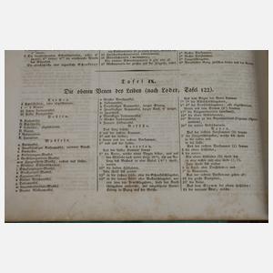 Abbildungen zu Oken's allgemeiner Naturgeschichte