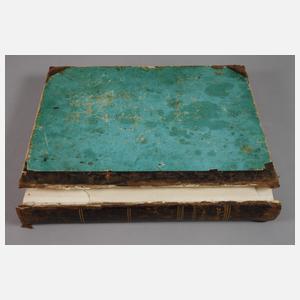 Abbildungen zu Oken's allgemeiner Naturgeschichte