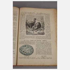 Naturgeschichte des Tierreichs