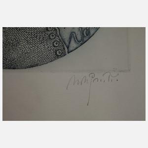 Voltaire Candide oder Der Optimismus