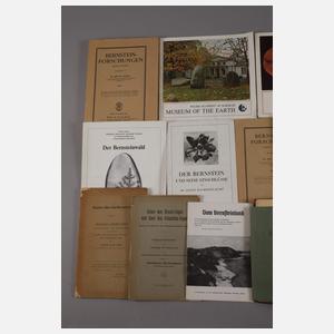 Konvolut Fachliteratur Bernstein