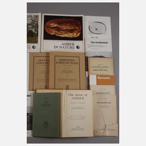 Konvolut Fachliteratur Bernstein