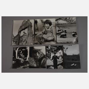 Fotonachlass Hans Förster Heinzel