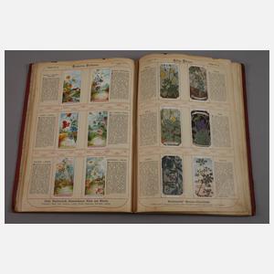 Vier Alben Kaufmannsbilder