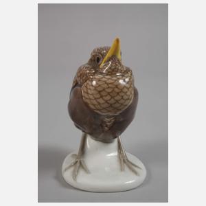 Meissen "Junge Amsel"