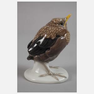 Meissen "Junge Amsel"