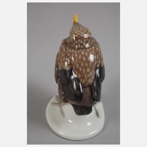 Meissen "Junge Amsel"