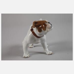 Meissen "Bulldogge"