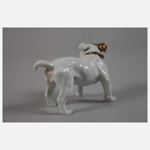 Meissen "Bulldogge"