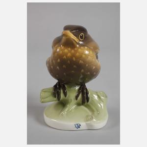 Nymphenburg ”Junge Amsel”