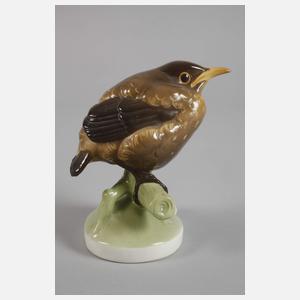Nymphenburg ”Junge Amsel”