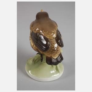 Nymphenburg ”Junge Amsel”