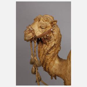 Amphora Kamelreiter während des Samums