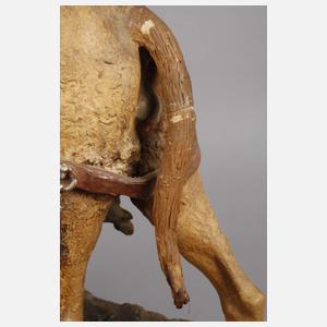 Amphora Kamelreiter während des Samums