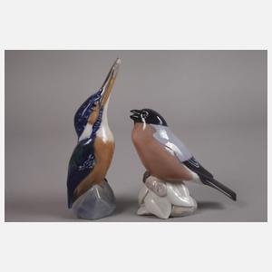 Kopenhagen Konvolut Vögel Jugendstil