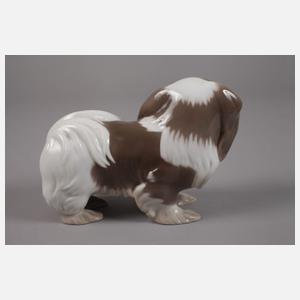 Kopenhagen Japanischer Chin