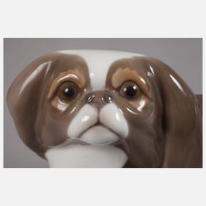 Kopenhagen Japanischer Chin