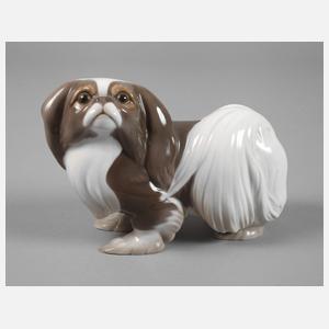 Kopenhagen Japanischer Chin