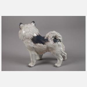 Kopenhagen Grönlandhund