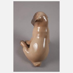 Kopenhagen Miniatur Mopswelpe