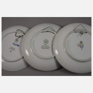 Kopenhagen große Sammlung Weihnachtsteller