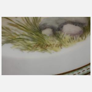 Kopenhagen Speiseteller "Fauna danica"