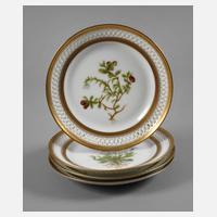 Kopenhagen vier Durchbruchteller Flora Danica-Stil111